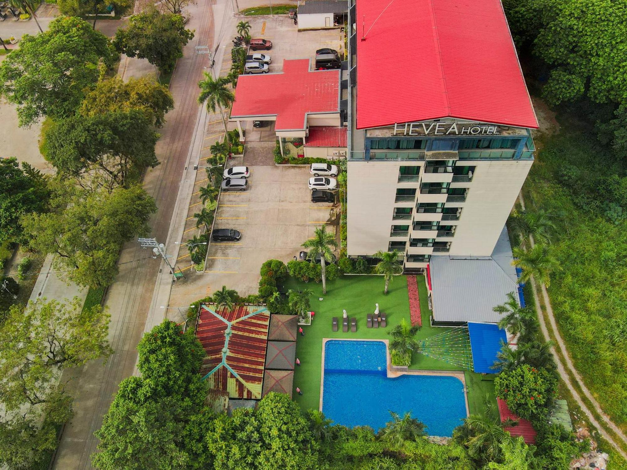 Sunday Hevea And Hotel Angeles