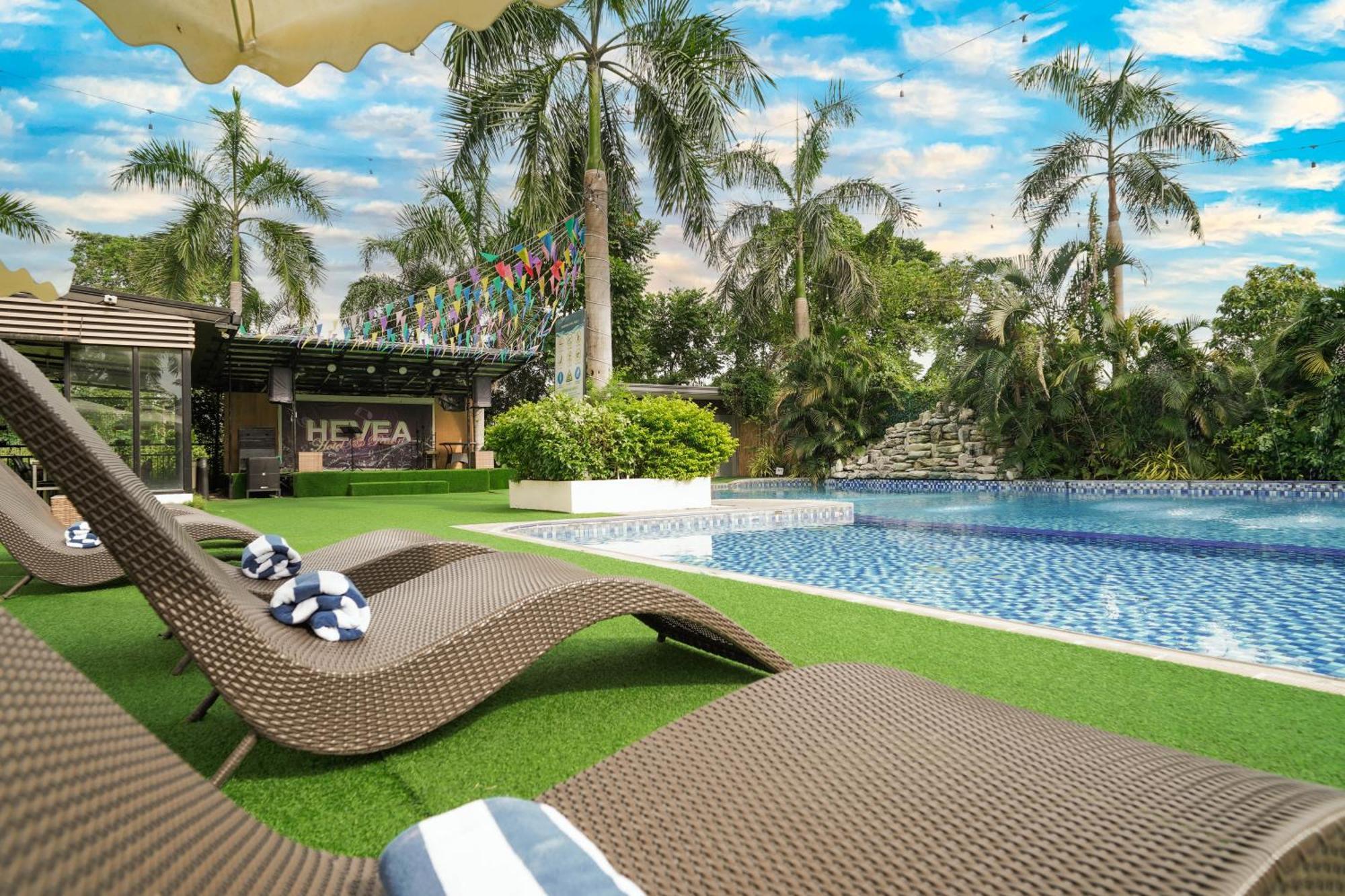Sunday Hevea And Hotel Angeles
